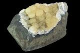 Botryoidal, Yellow Prehnite Crystal Cluster - Connecticut #100176-1